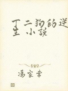 丁二狗的逆袭人生 小说封面