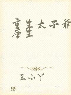 重生太子爷主角唐生封面