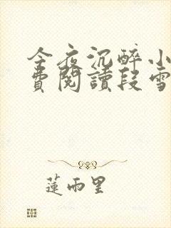 今夜沉醉小说免费阅读段雪娇林杰封面