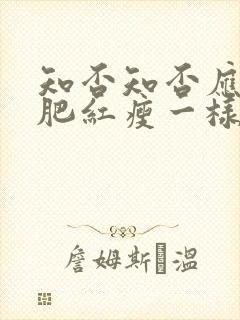 知否知否应是绿肥红瘦一样的电视剧