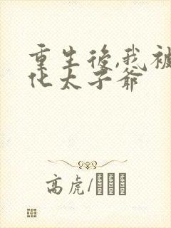 重生后,我被黑化太子爷