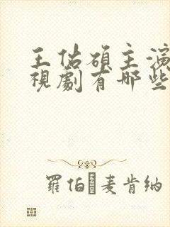 王佑硕主演的电视剧有哪些