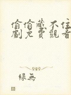 偷偷藏不住电视剧免费观看在线版