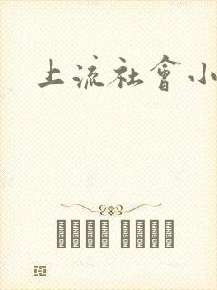 上流社会小说封面