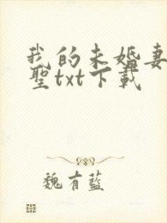 我的未婚妻是剑圣txt下载