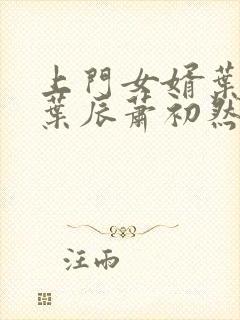 上门女婿叶辰 叶辰萧初然531