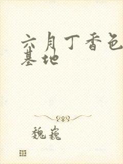 六月丁香色婷婷基地