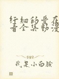 纤细的爱在线观看全集动漫