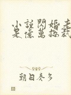 小说闪婚老公竟是亿万总裁,