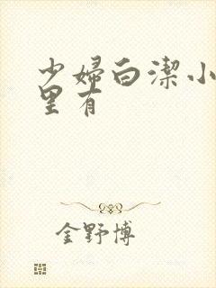 少妇白洁小说哪里有