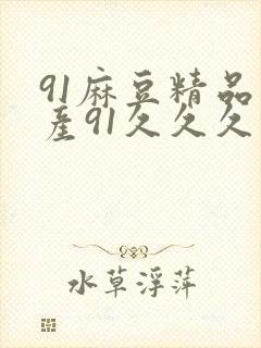 91麻豆精品国产91久久久久久|亚洲精品