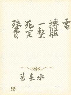 殊死一搏电影免费完整版