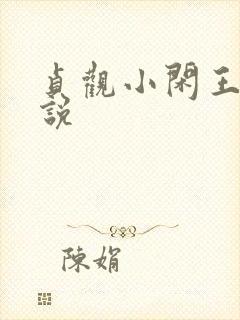 贞观小闲王 小说
