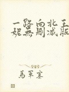 一路向北王李丹妮无删减版封面