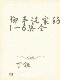 御手洗家的破洞1—6集全