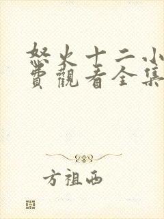 怒火十二小时免费观看全集完整版封面