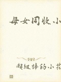 母女同收小说封面