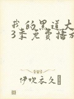 我的黑道大佬第3季免费播放在线观看
