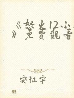 《怒火12小时》免费观看 完整