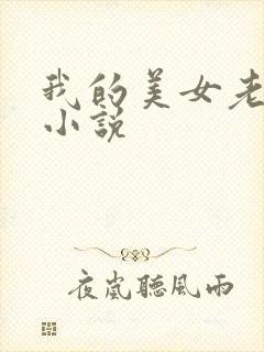 我的美女老板 小说封面