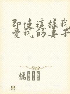即使这样我还是爱我的妻子第一集封面