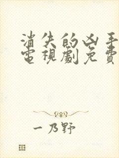 消失的凶手宣璐电视剧免费观看