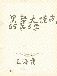 黑帮大佬我的365第3季