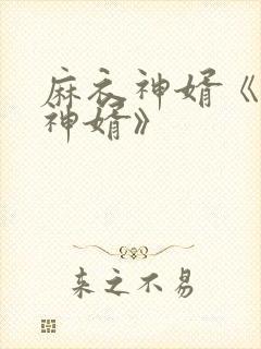 麻衣神婿《天降神婿》