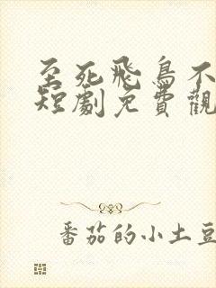 至死飞鸟不相逢短剧免费观看