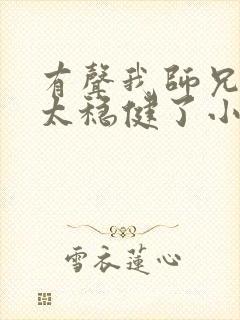 有声我师兄实在太稳健了小说