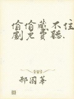 偷偷藏不住广播剧免费听.