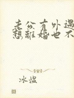 老公有外遇我不想离婚也不原谅怎么办封面