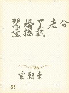 闪婚了老公是千亿总裁