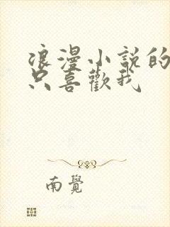 浪漫小说的主角只喜欢我