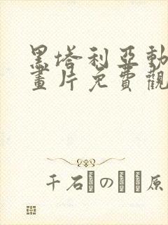 黑塔利亚动漫动画片免费观看