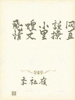 飞蝗小说网在言情文里撩直男男主