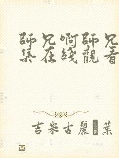 师兄啊师兄27集在线观看封面