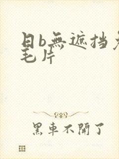 日b无遮挡免费毛片