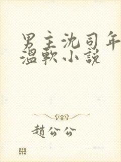 男主沈司年女主温软小说