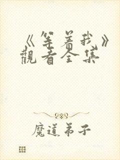 《等着我》免费观看全集