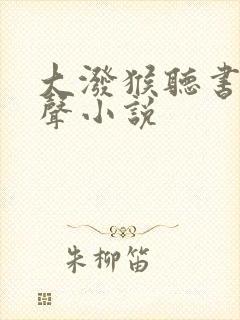 大泼猴听书网有声小说