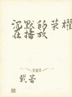 沉默的荣耀哪台在播放