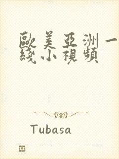 欧美亚洲一区在线小视频