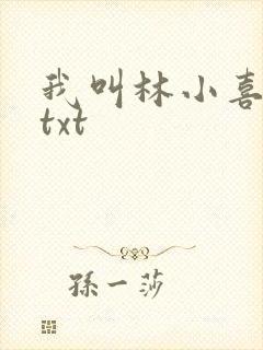 我叫林小喜小说txt