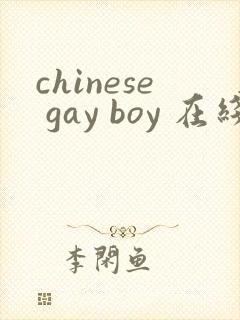 chinese gay boy 在线视频