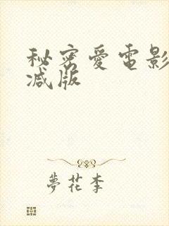 秘密爱电影无删减版封面