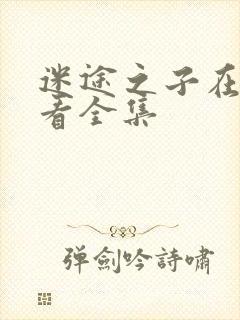 迷途之子在线观看全集