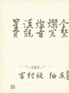 星汉灿烂全集免费观看完整版