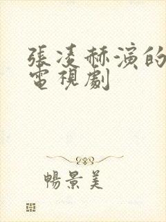 张凌赫演的全部电视剧