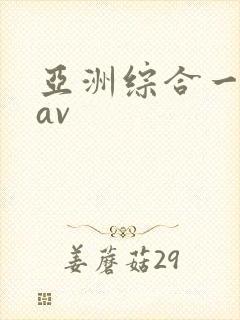 亚洲综合一区二av